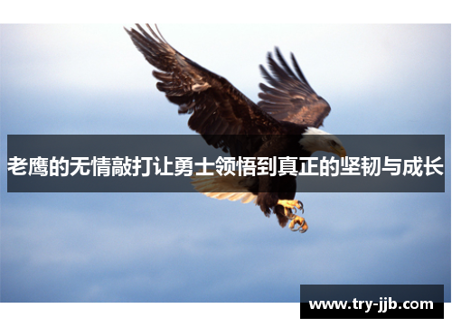 老鹰的无情敲打让勇士领悟到真正的坚韧与成长