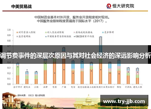 调节费事件的深层次原因与其对社会经济的深远影响分析