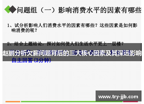 赵鹏分析欠薪问题背后的三大核心因素及其深远影响