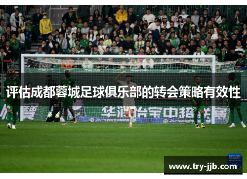 评估成都蓉城足球俱乐部的转会策略有效性