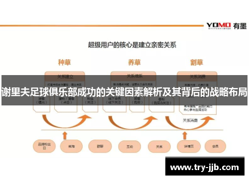 谢里夫足球俱乐部成功的关键因素解析及其背后的战略布局