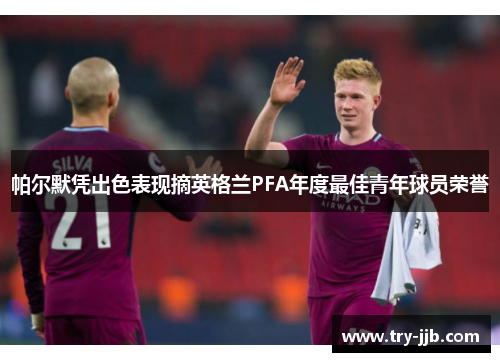 帕尔默凭出色表现摘英格兰PFA年度最佳青年球员荣誉